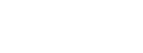 Sport for business